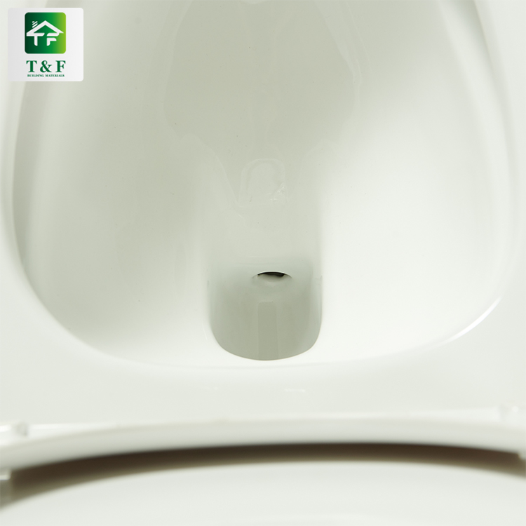 Super Vortex Siphon Flushing One Piece Toilet Sets Bathroom Siphonic Floor Mounted Ceramic Toilet Wc Sanitary Ware Foshan