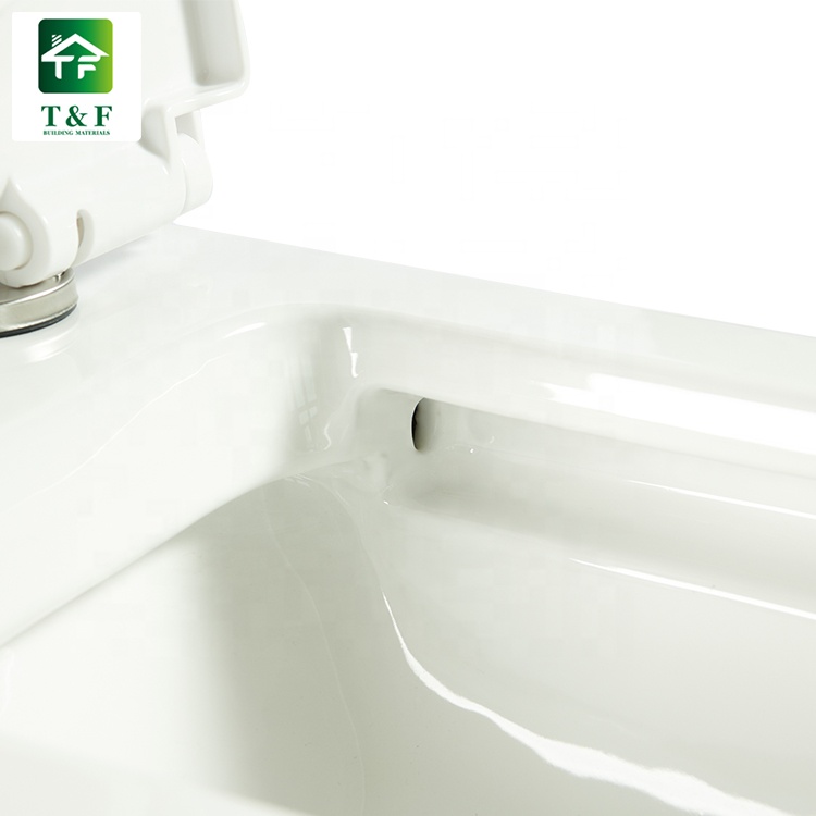 Guangdong One Piece Ceramic Hotel Bathroom Toilet Set Dual-Flush Floor Mounted Toilet Price