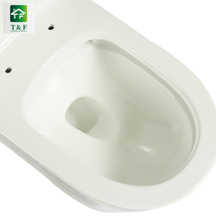 Siphonic Bathroom Ceramic Style Toilet with Factory Cheap Price Floor Mounted One Piece Siphonic Commode Ceramic Toilet