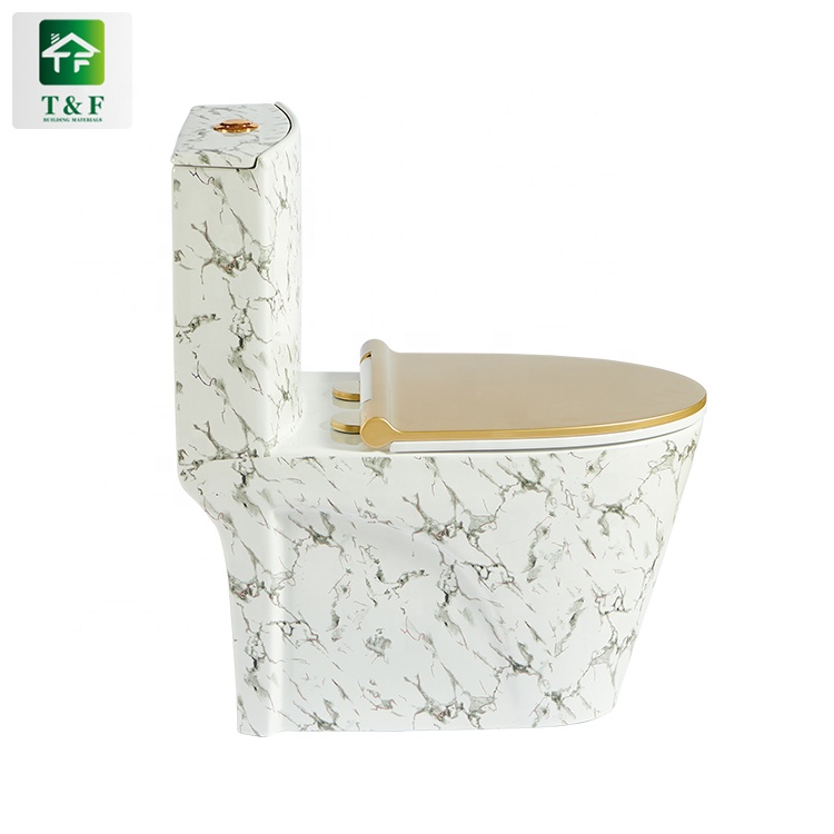High Quality Siphon / Gravity Flushing Push Button Toilet Flush Standard Dimensions Floor Mounted One Piece Toilet
