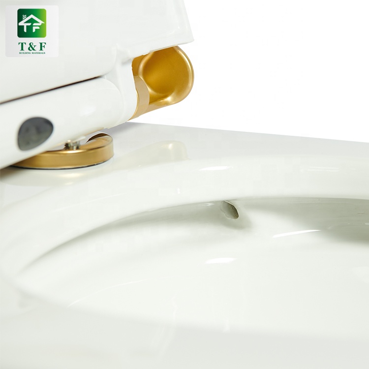High Quality Siphon / Gravity Flushing Push Button Toilet Flush Standard Dimensions Floor Mounted One Piece Toilet