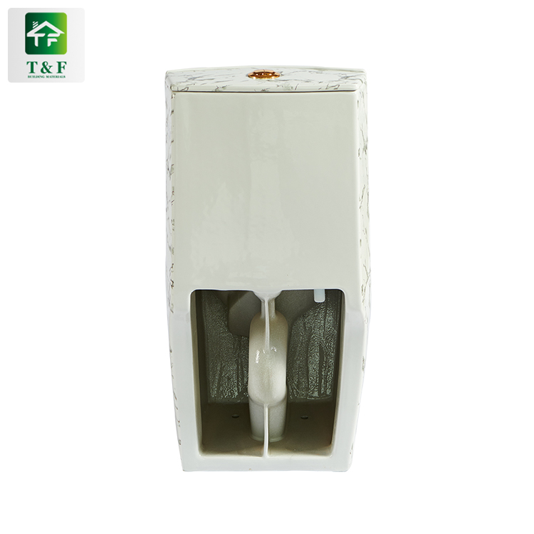 High Quality Siphon / Gravity Flushing Push Button Toilet Flush Standard Dimensions Floor Mounted One Piece Toilet