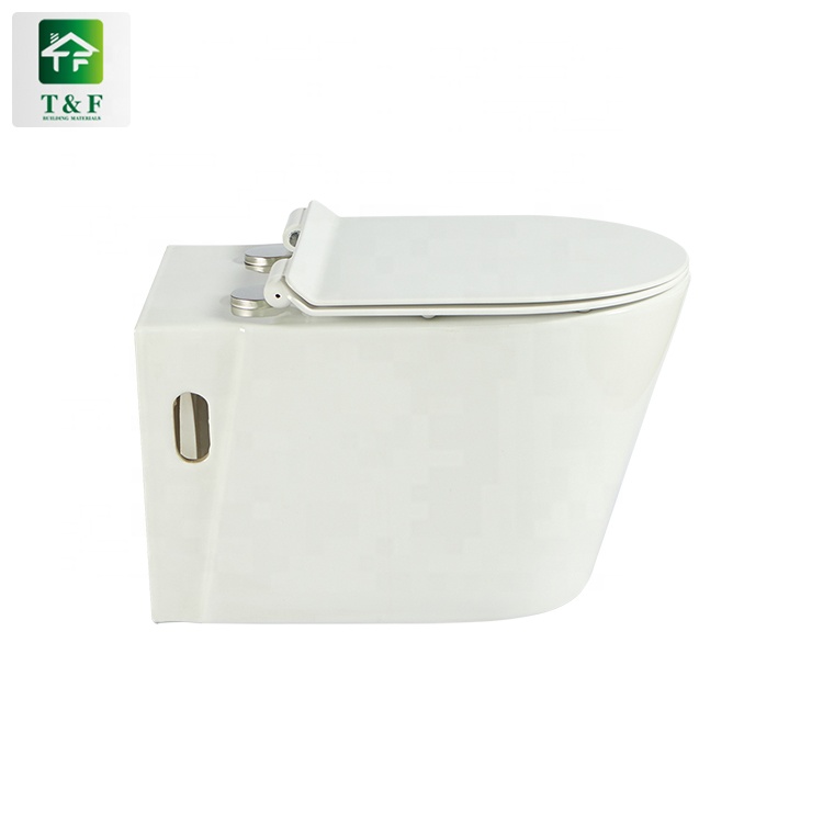Closestool Two Piece Wc Toilet China Porcelain White Wall Mounted Toilet Bowl Sale