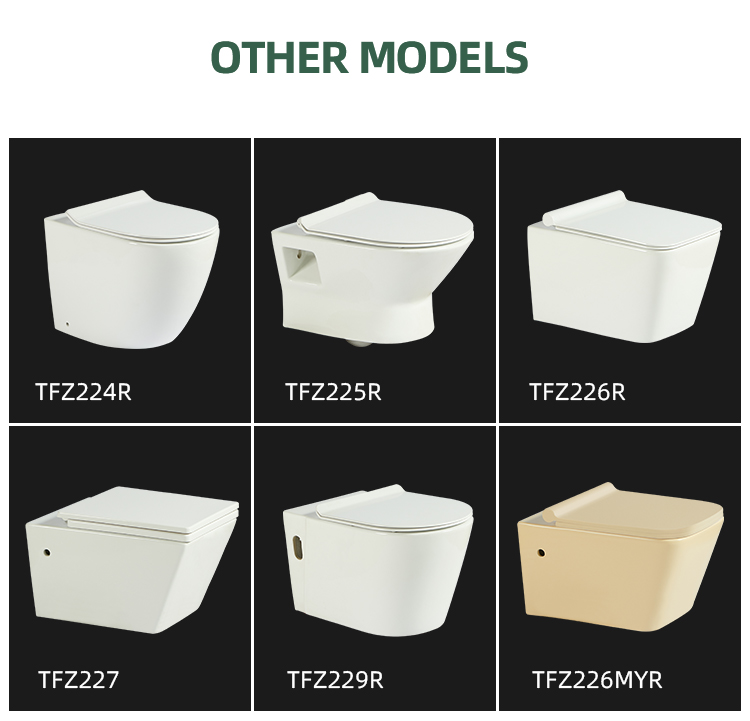 Closestool Two Piece Wc Toilet China Porcelain White Wall Mounted Toilet Bowl Sale