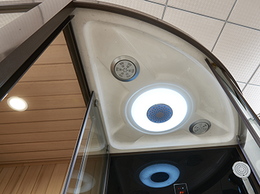 Multifunctional Smart Wooden Spa Massage Shower Cubicle Wet Steam and Dry Sauna Bath Room