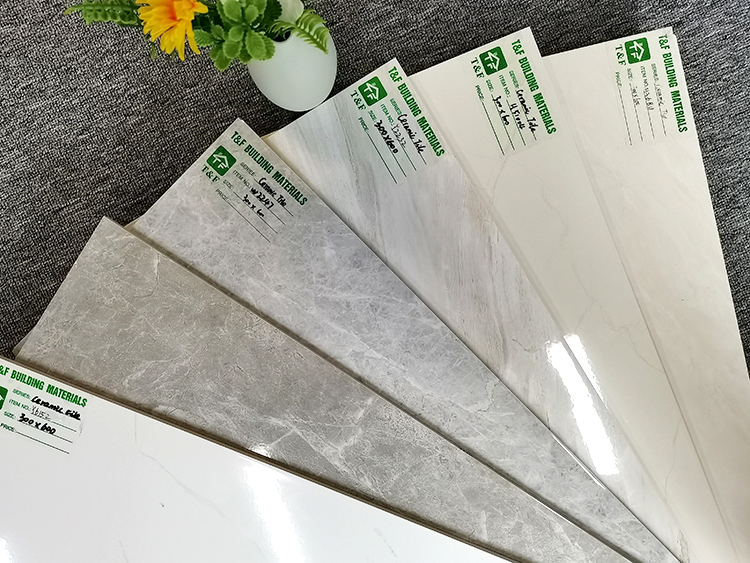 300*600 mm Interior Wall Tiles Glossy Wall Tiles for Bathroom Balcony Glazed Decorative Ceramic Wall Tiles