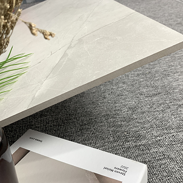 60x60 Matte Finished Porcelain Ceramic Flooring Rustic Tile for Interior Living Room Kitchen Floor and Wall