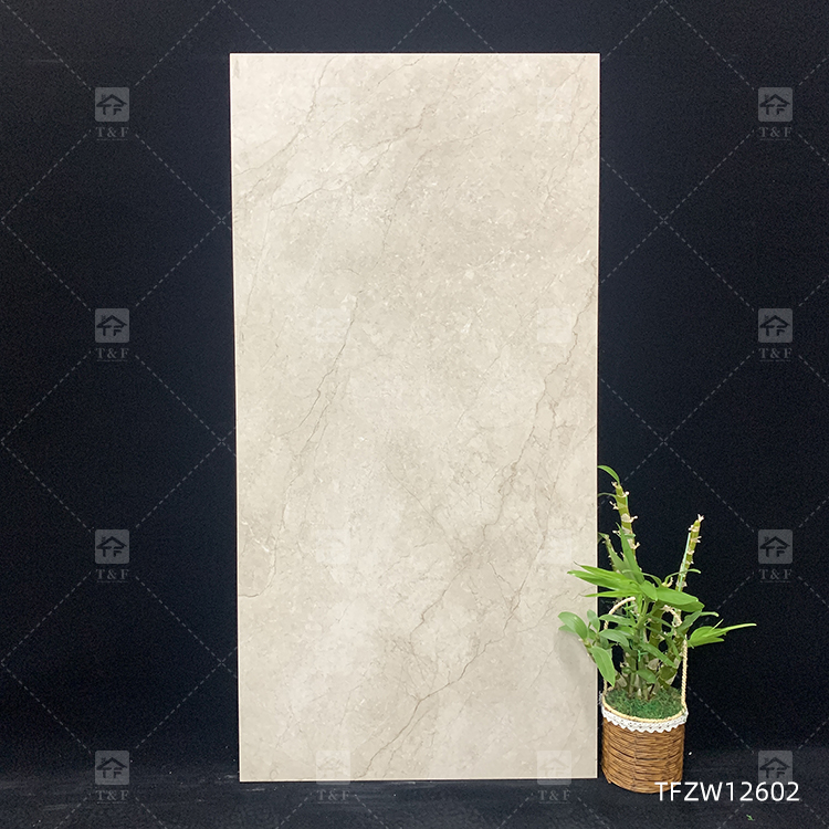 Luxury Matte Glazed 24x48 Porcelain Tiles Stone Effect for Floor and Wall Carrelage Pour Sol 1200x600