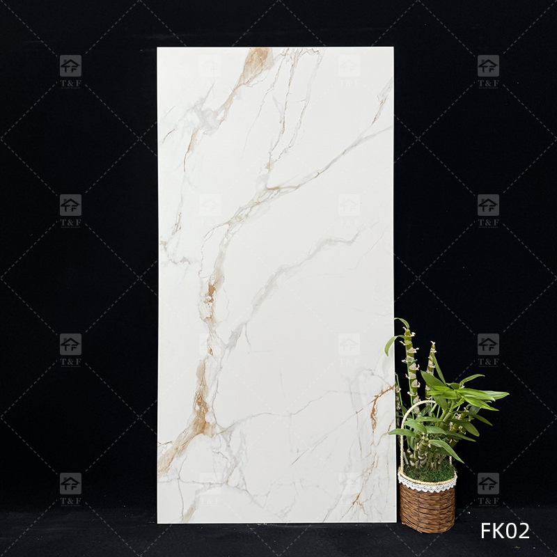 60x120 Calacatta Gold White Marble Look Matte Porcelain Tiles for Floor Matt Carreau De Maison