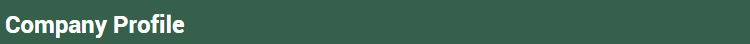 Modern Design Double Open Panel Wooden Front Entrance Door Villa External Security Swing Waterproof Feature Finished Surface